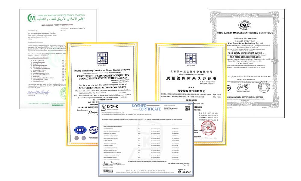 Zertifikat der Qualifikation.jpg Certificate of qualification.jpg