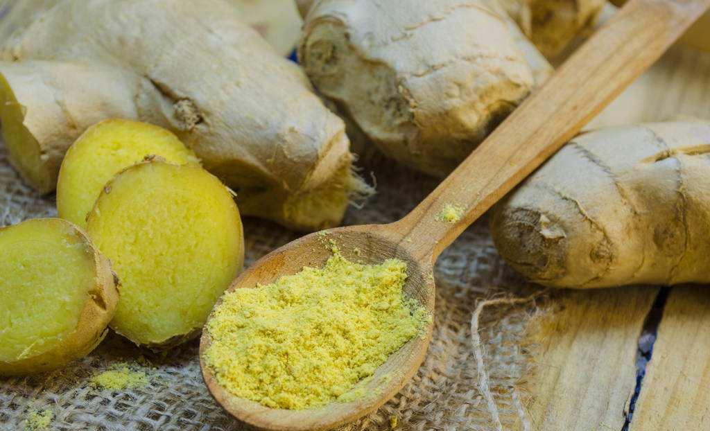 Ingwer-Extrakt Ginger Extract