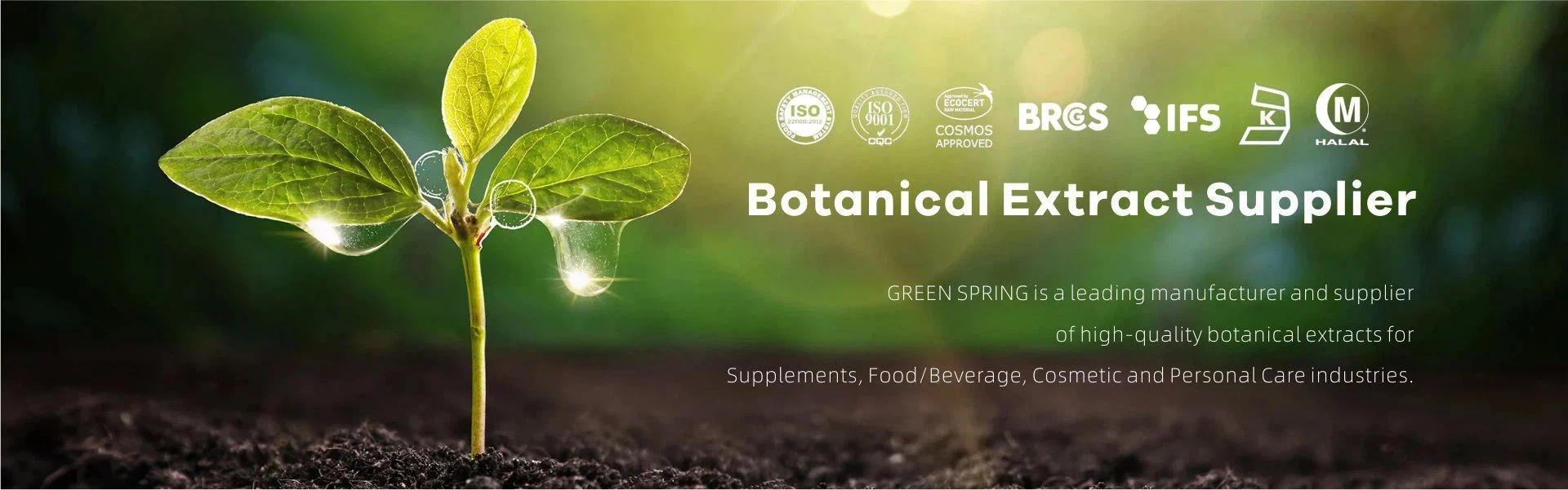 plant extract supplier