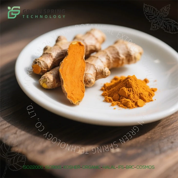 Kurkuma -Wurzel -Extraktpulver|95% Curcuminoide|Bio & Nicht-GMO|Entzündungshemmend & antioxidant|FDA\/ISO -zertifizierter Lieferant